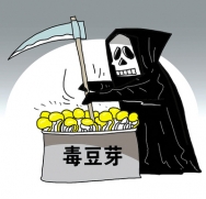 罌粟殼、毒（dú）豆芽，你可（kě）能（néng）已中招！